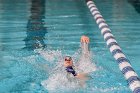 Swimming vs Bentley  Wheaton College Swimming & Diving vs Bentley College. - Photo by Keith Nordstrom : Wheaton, Swimming & Diving